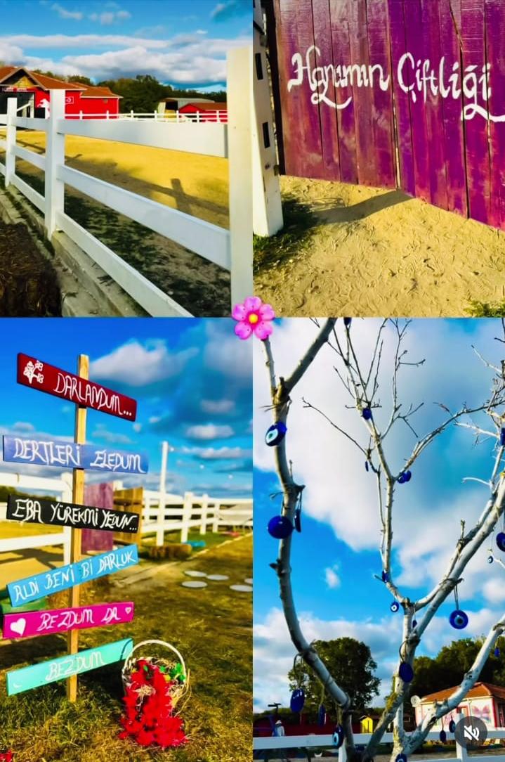 Hanımın Çiftliği